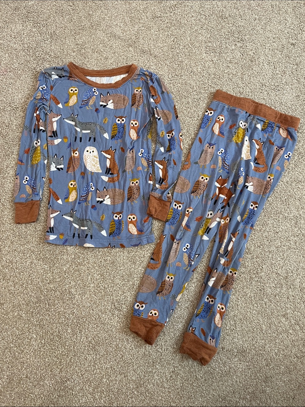 Little Sleepies Blue Woodland Animal Print Pajama Set with Brown Trim